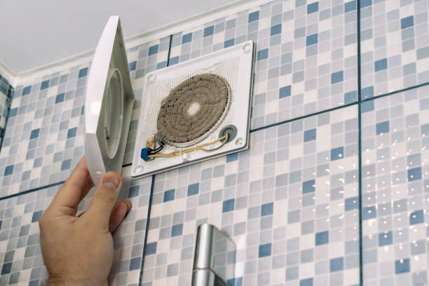 Best Air Vent Cleaning Services  in Renville, MN