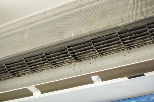 Best Local Air Duct Cleaning Services  in Renville, MN